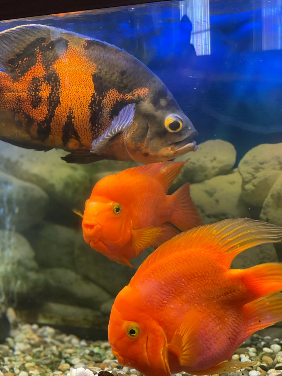 Гостиница Театральный Суздаль-50