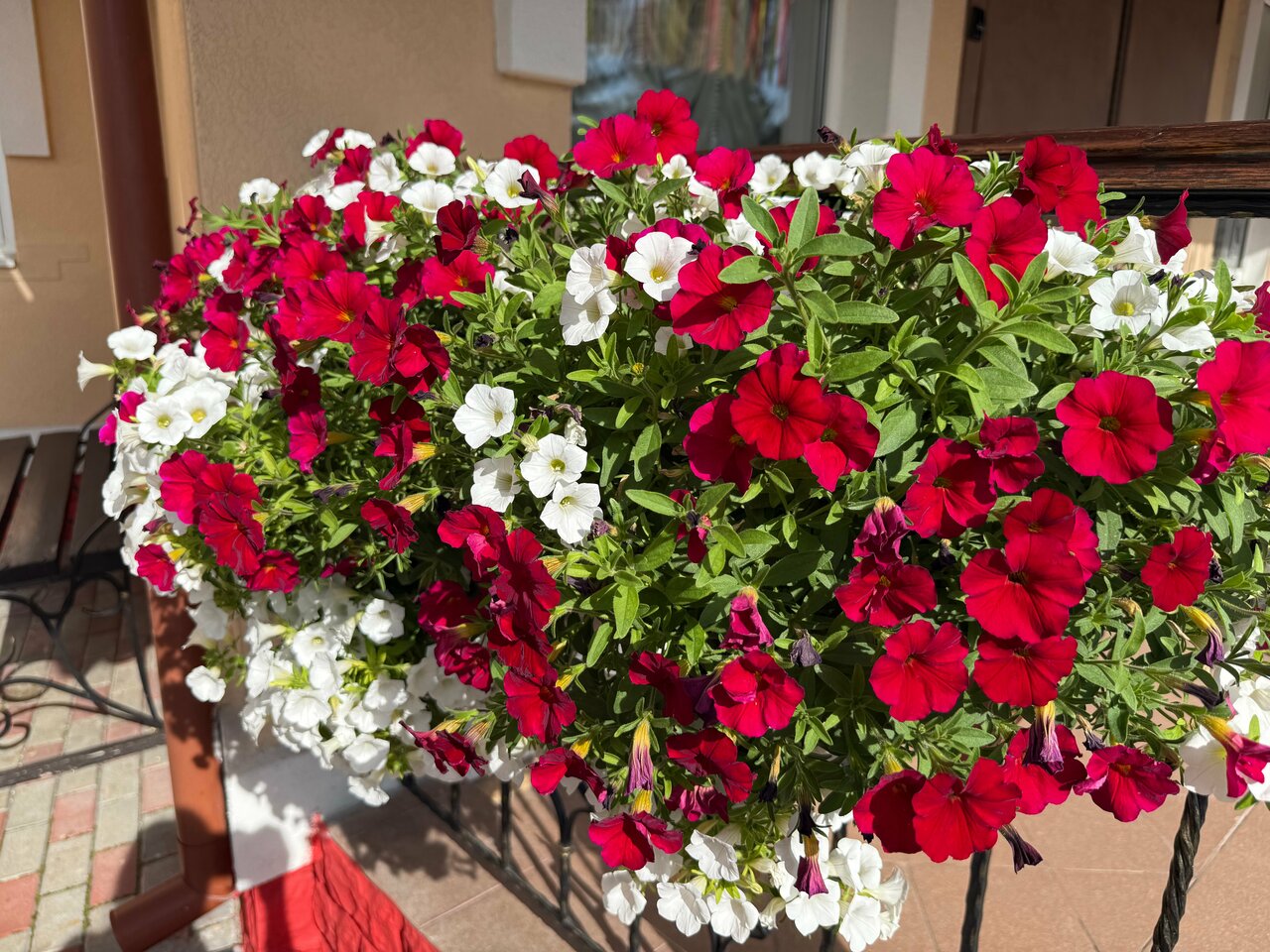 Гостиница Театральный Суздаль-162