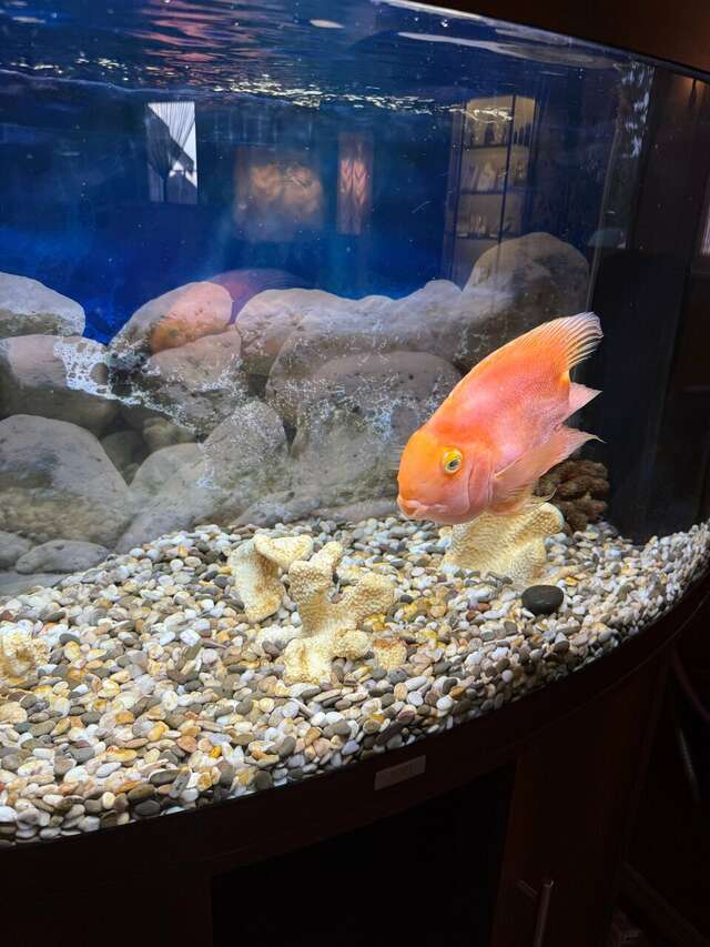 Гостиница Театральный Суздаль-165