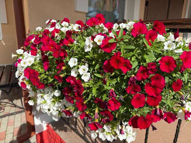 Гостиница Театральный Суздаль-161